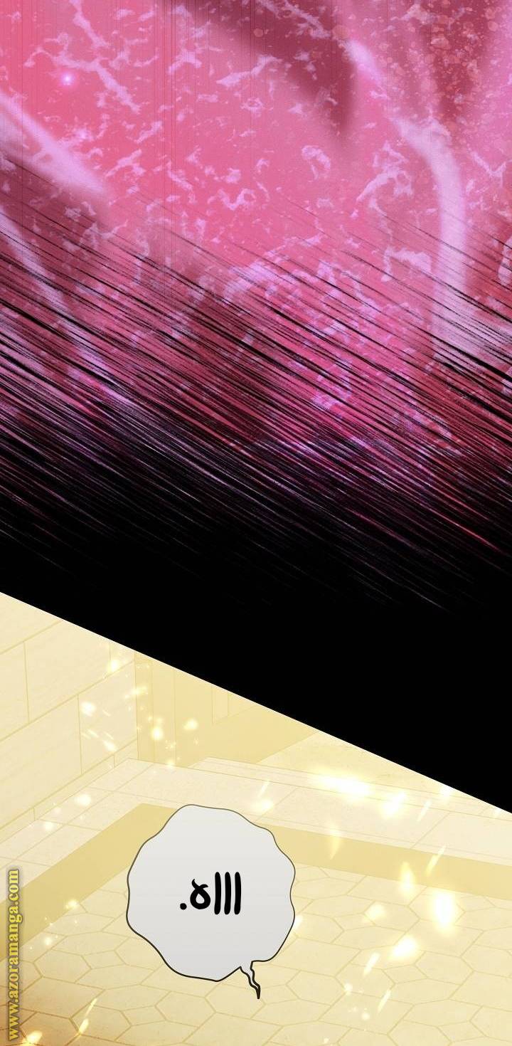 الصفحة 61