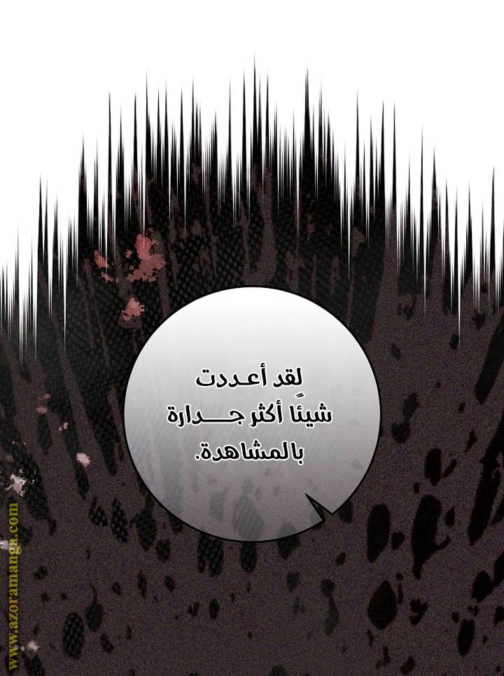 الصفحة 46