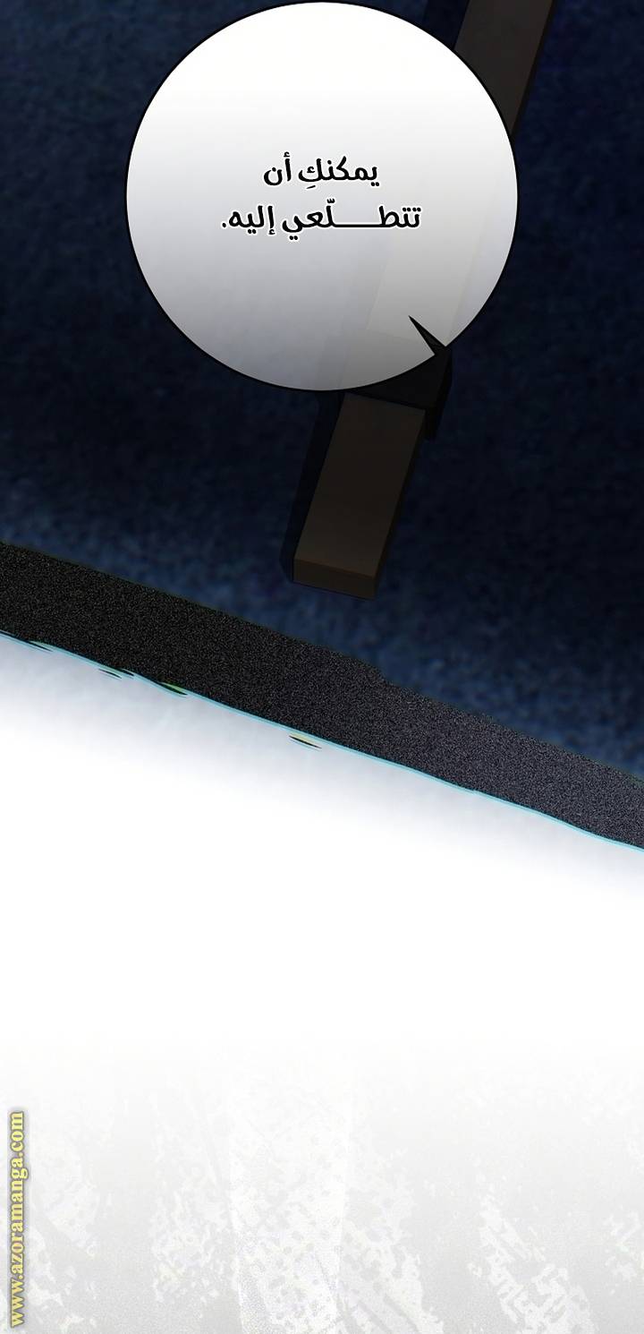 الصفحة 50
