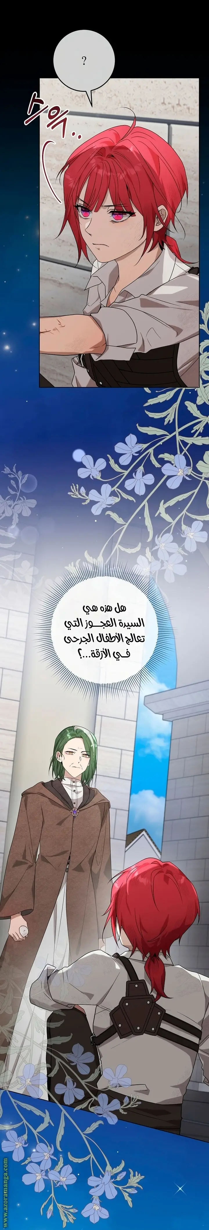 الصفحة 21