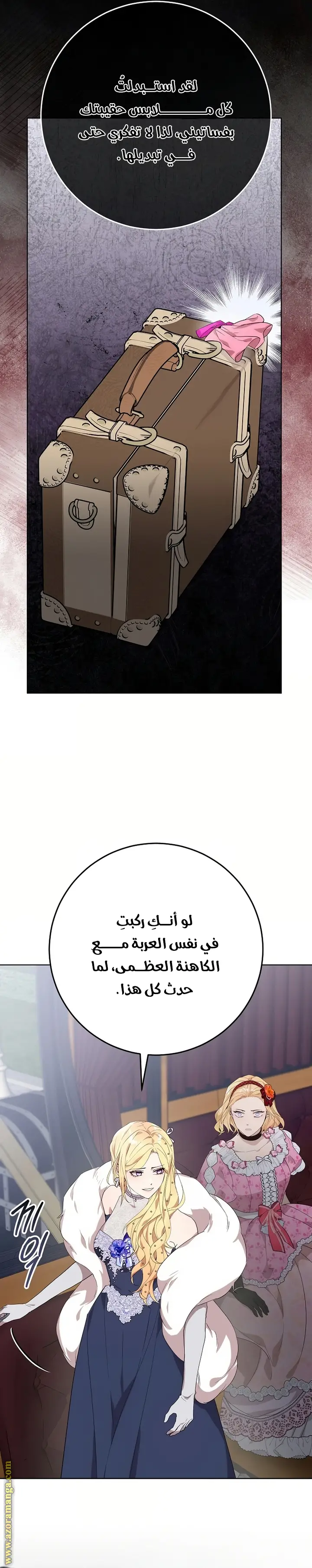 الصفحة 43