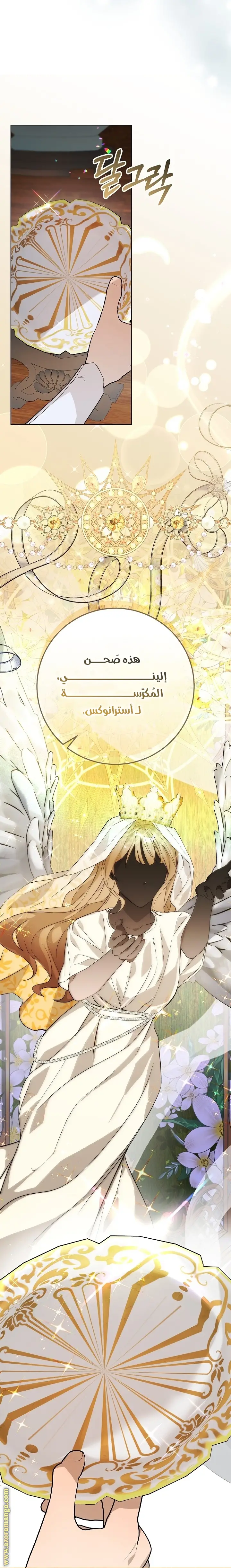 الصفحة 45