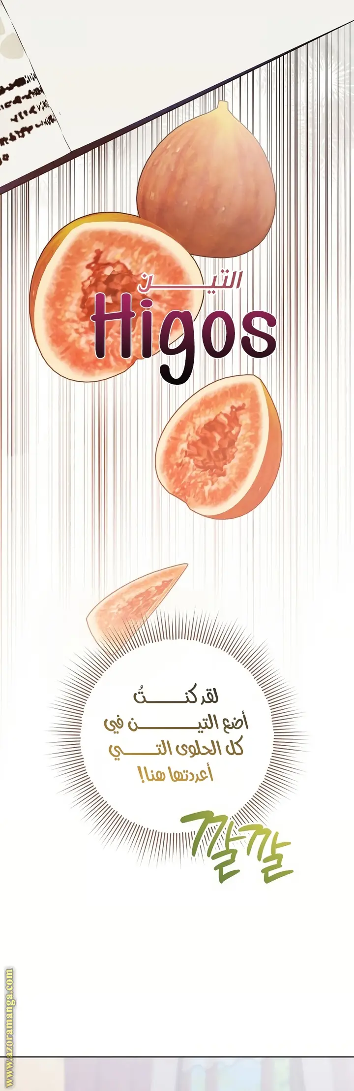 الصفحة 21