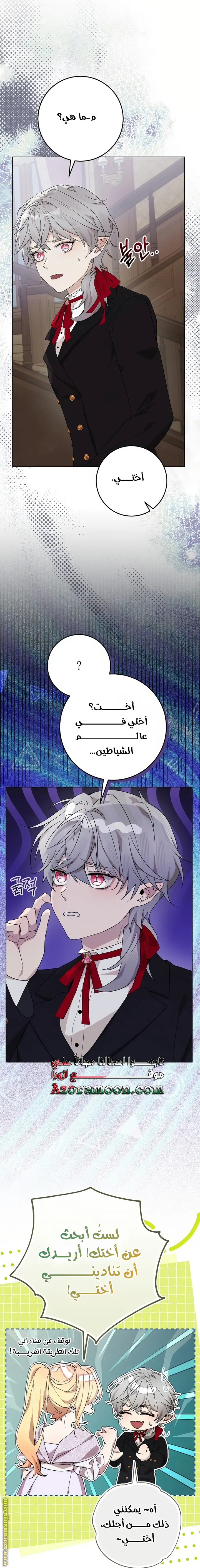 الصفحة 25
