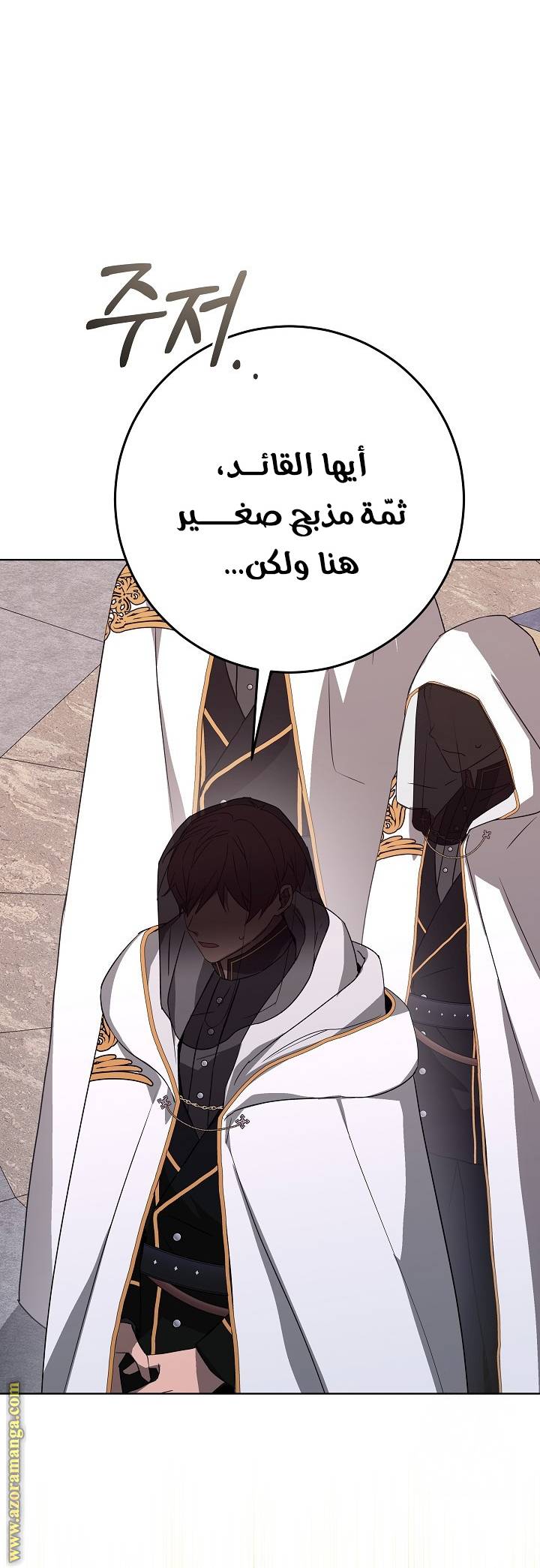 الصفحة 17