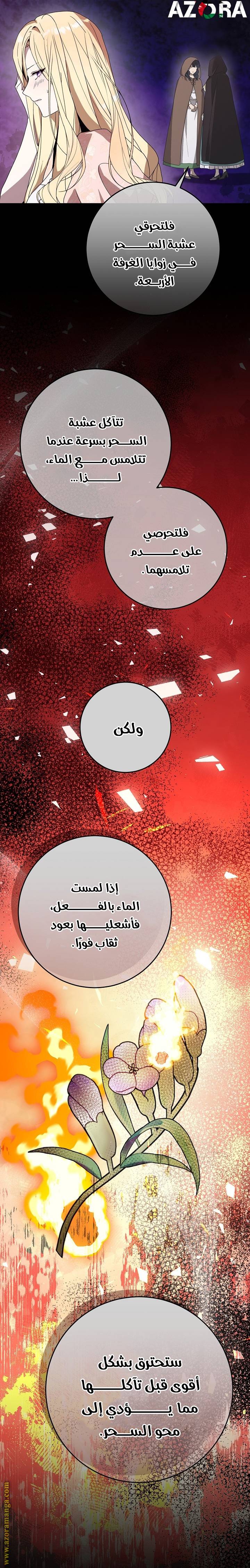 الصفحة 20