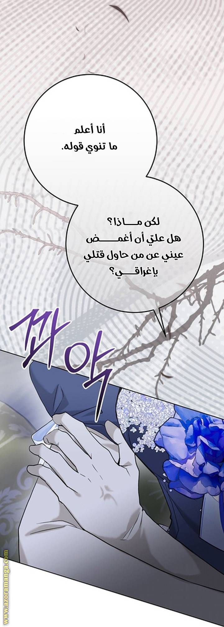 الصفحة 25