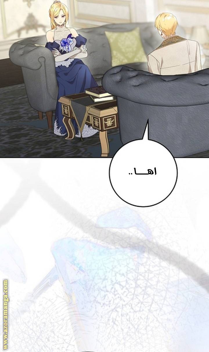 الصفحة 29