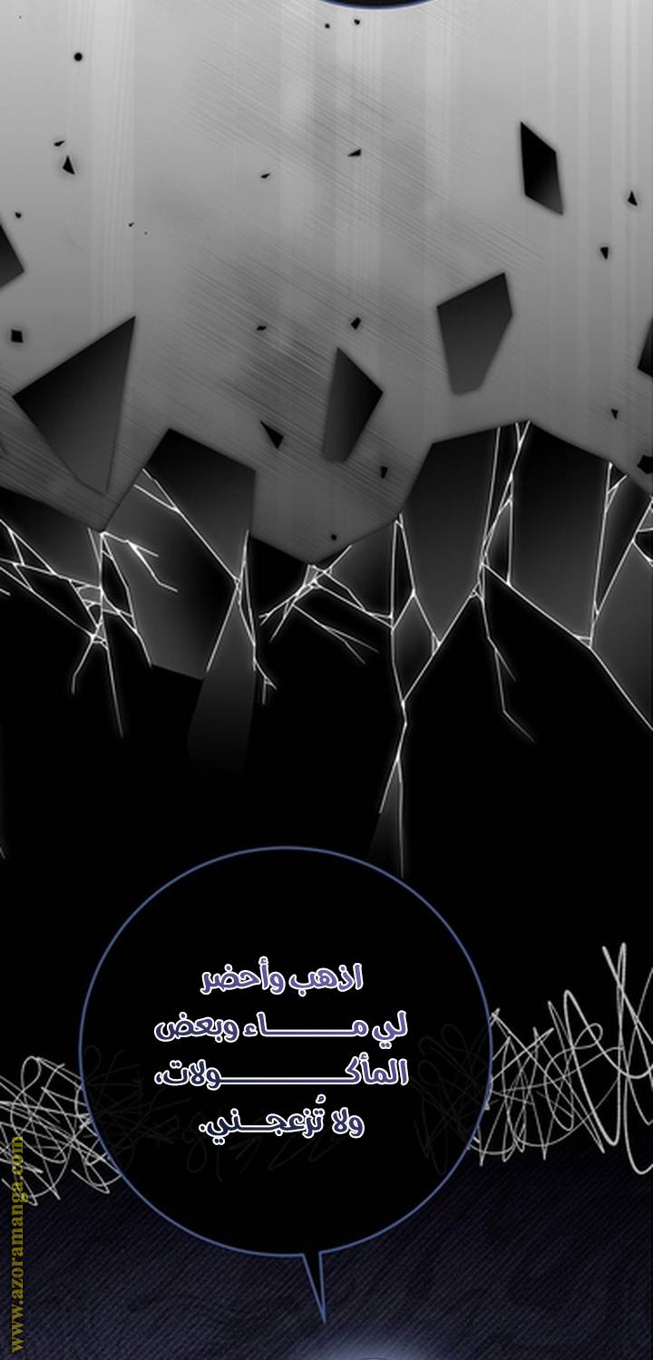 الصفحة 64