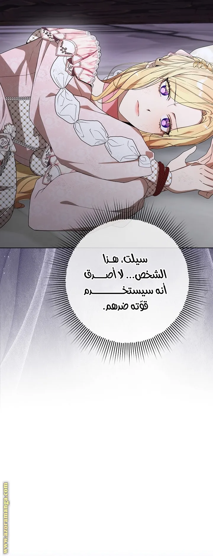 الصفحة 17