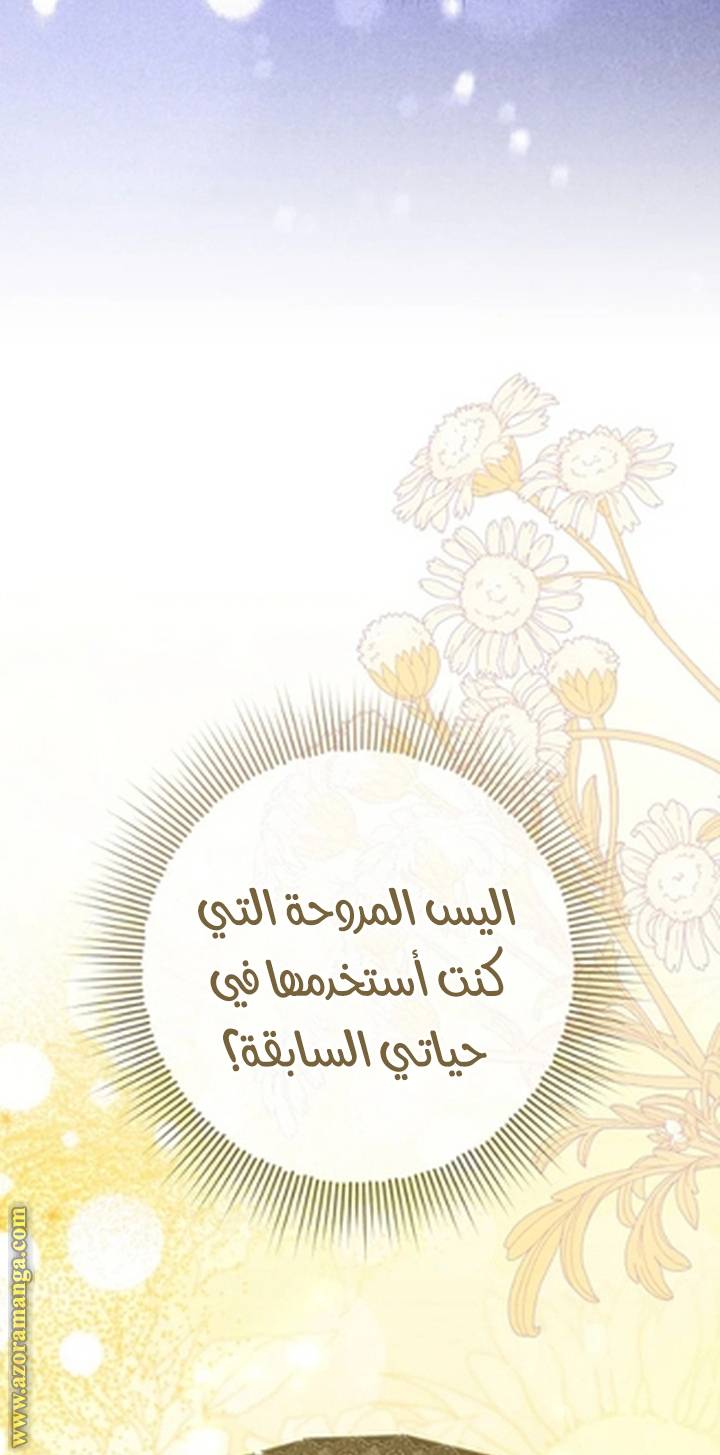 الصفحة 38