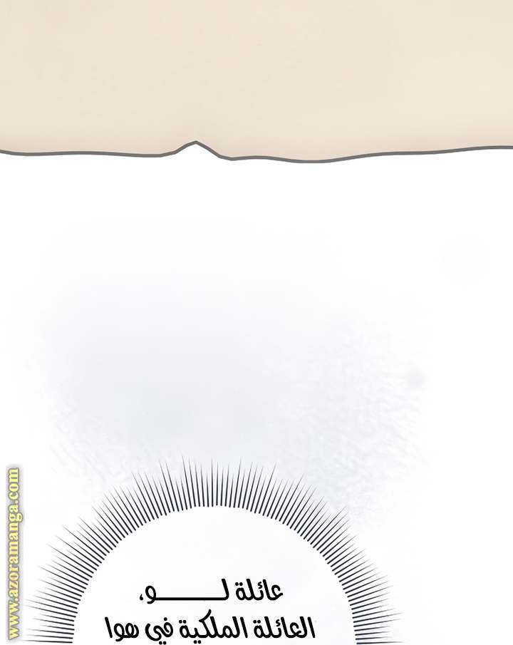 الصفحة 29