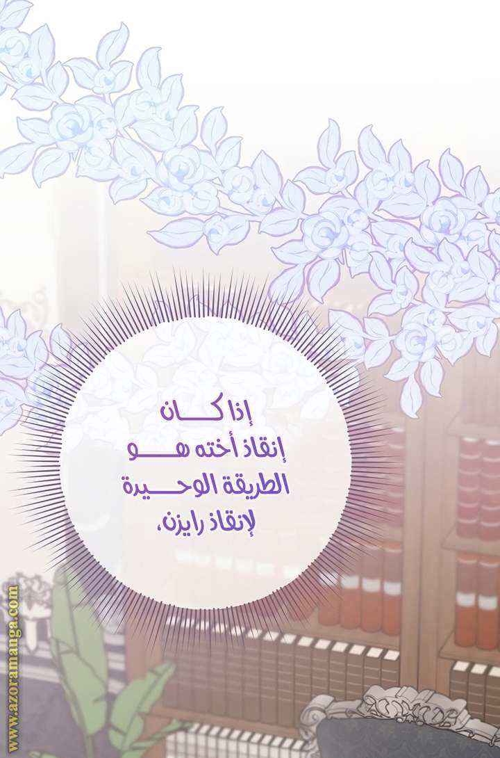 الصفحة 31