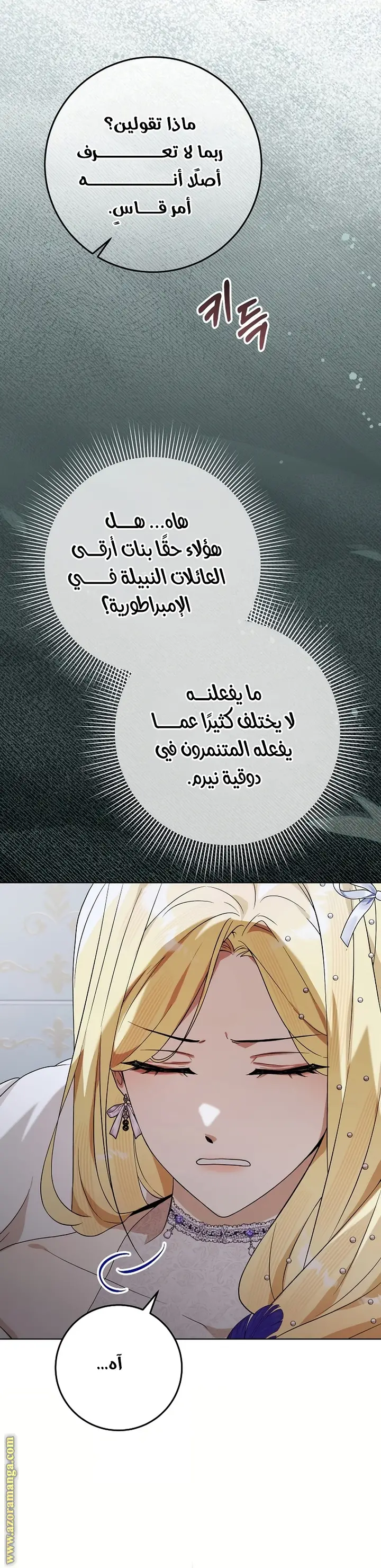 الصفحة 25