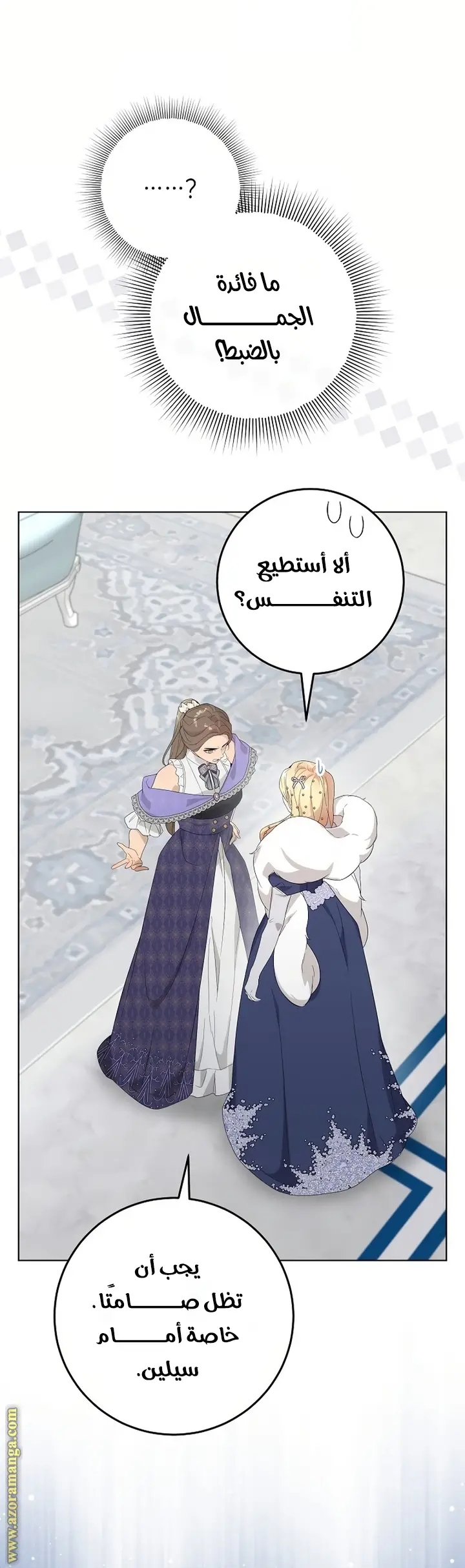 الصفحة 27