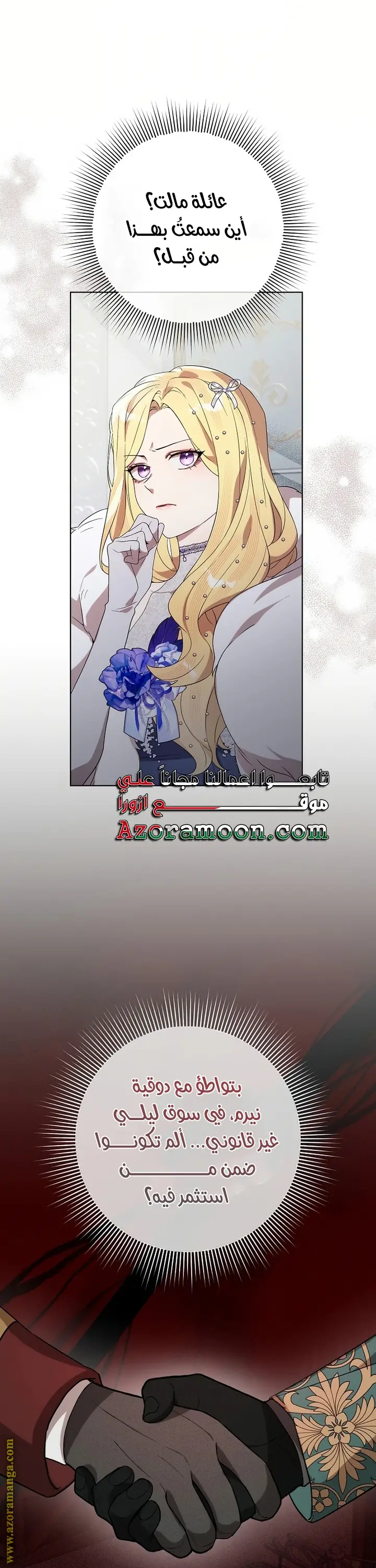 الصفحة 29