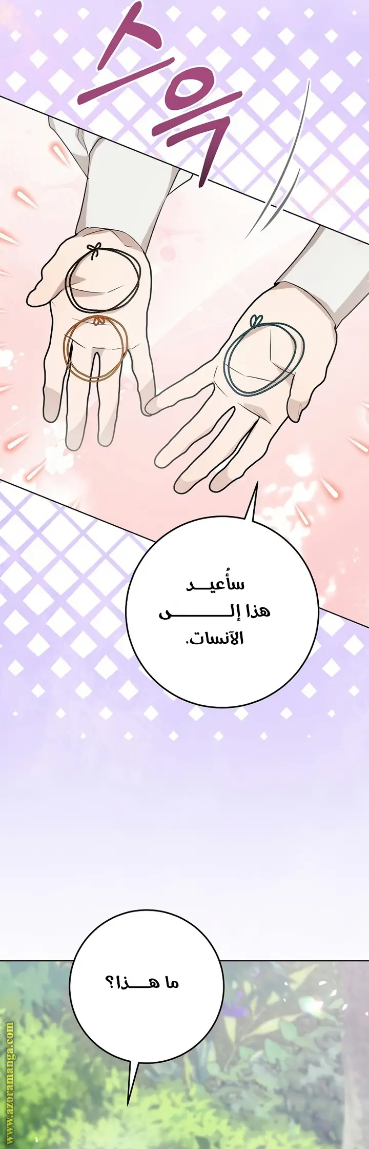 الصفحة 46