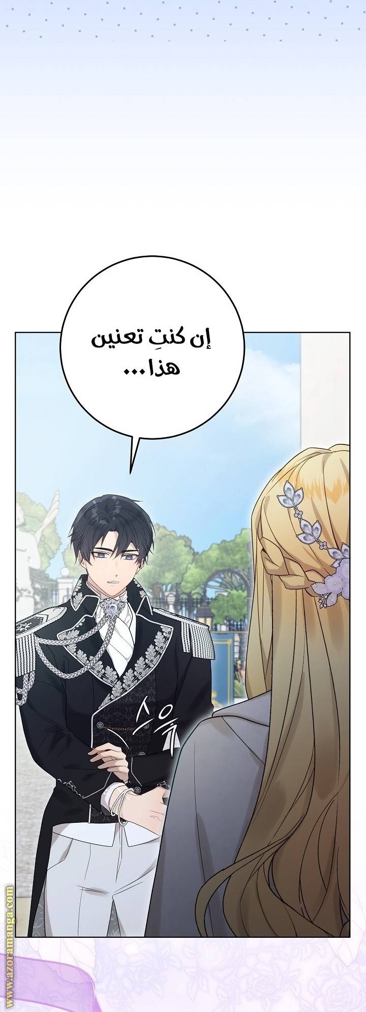 الصفحة 41