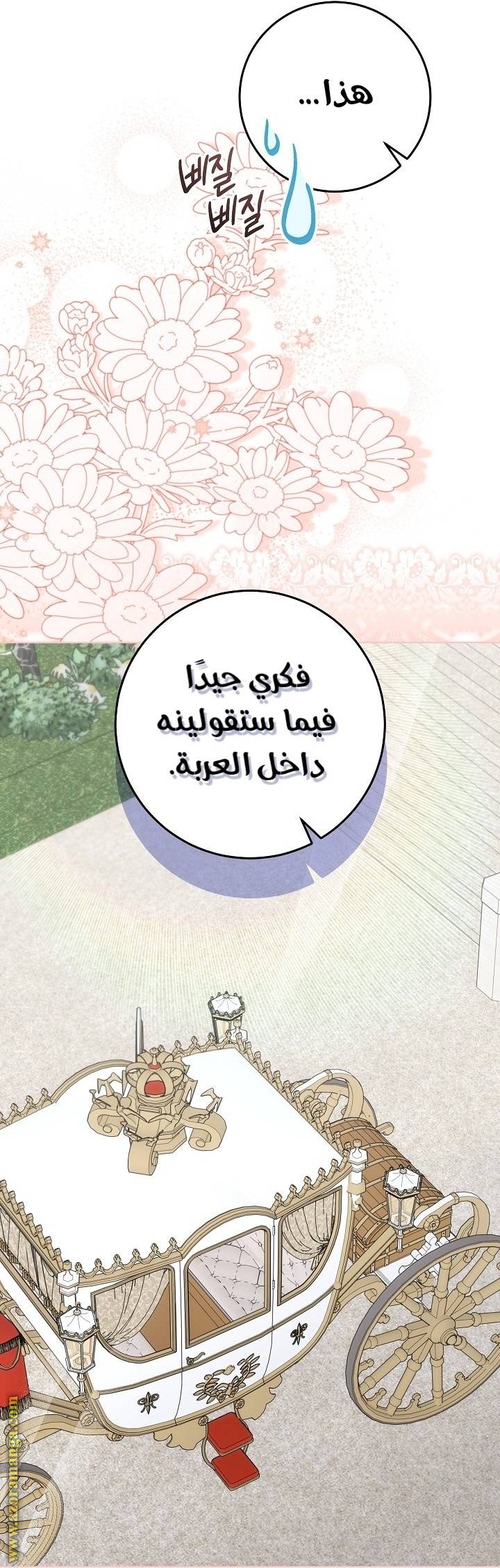 الصفحة 46