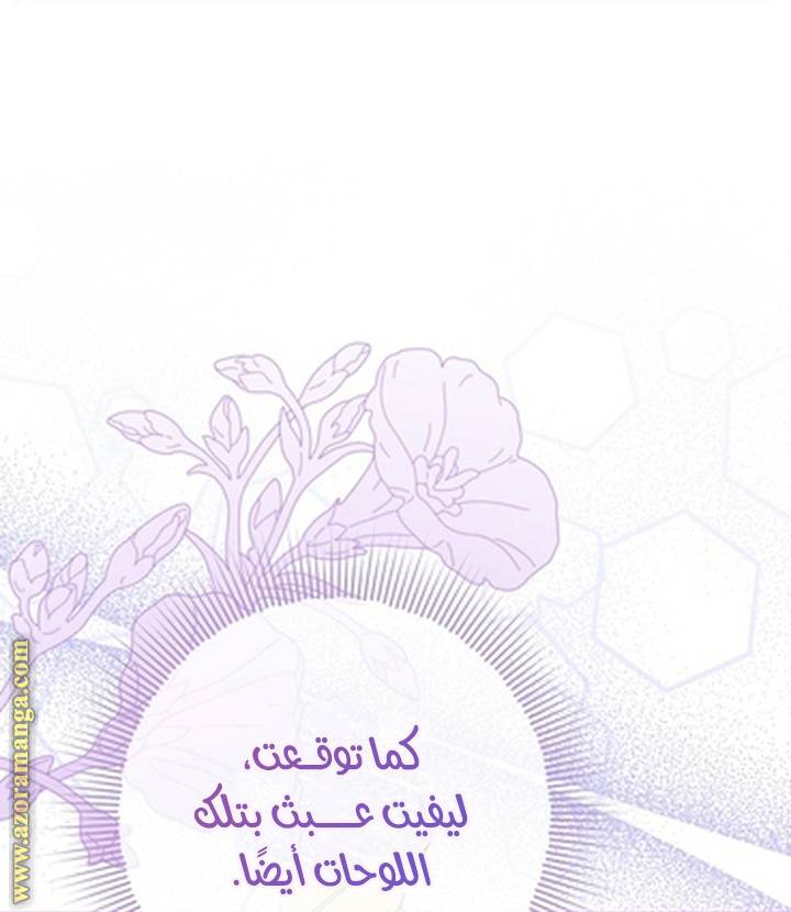 الصفحة 46