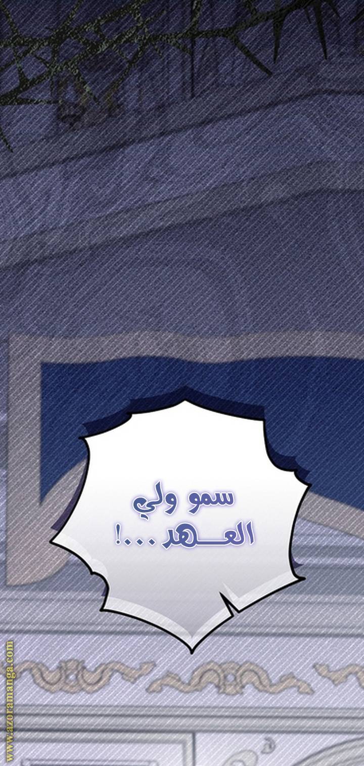 الصفحة 61