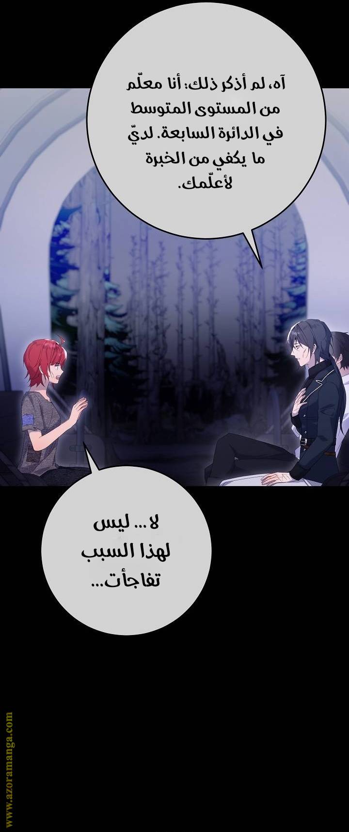الصفحة 16