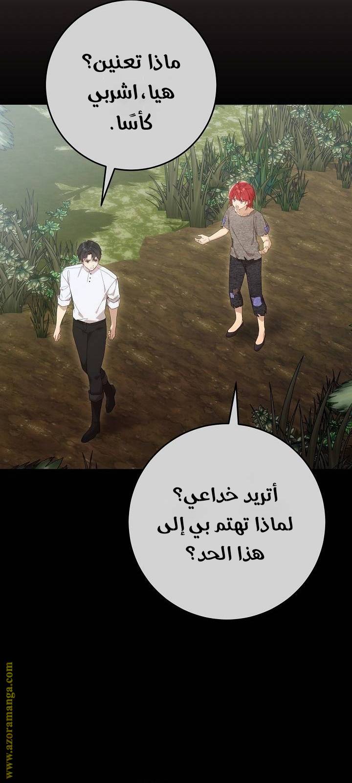 الصفحة 21