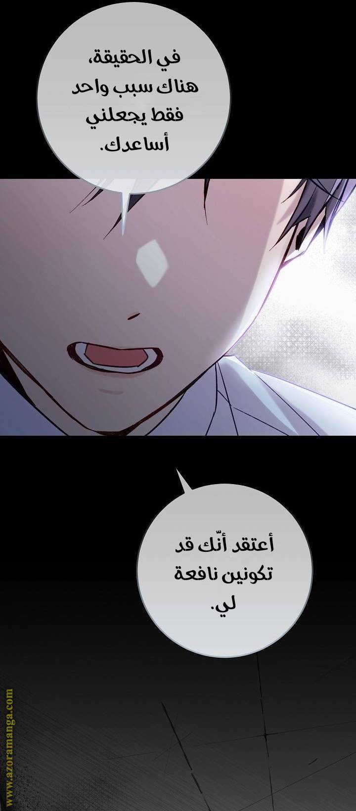 الصفحة 25
