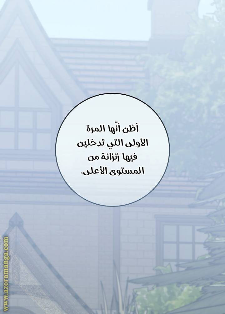 الصفحة 29