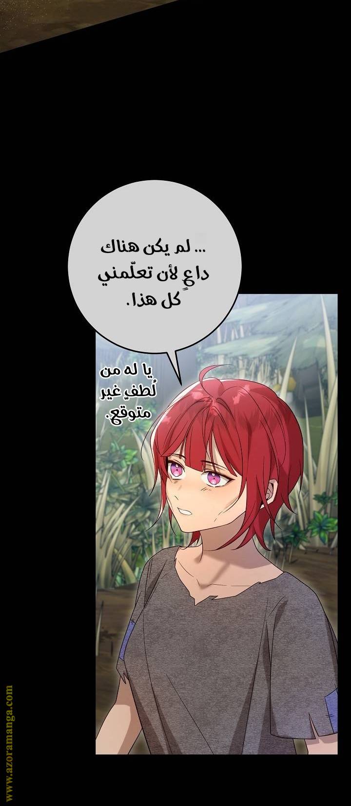 الصفحة 31