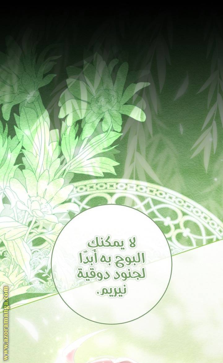 الصفحة 41