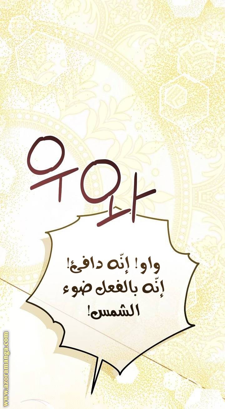 الصفحة 47