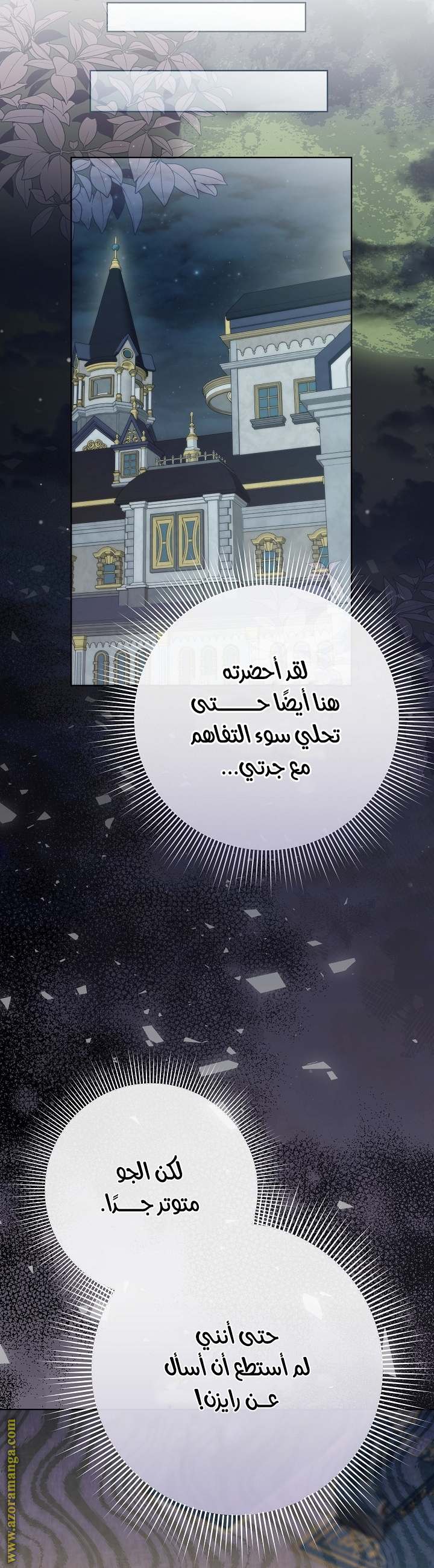 الصفحة 13