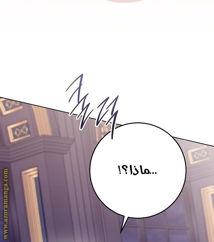 الصفحة 23