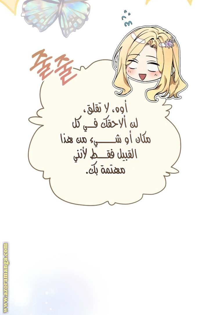 الصفحة 17