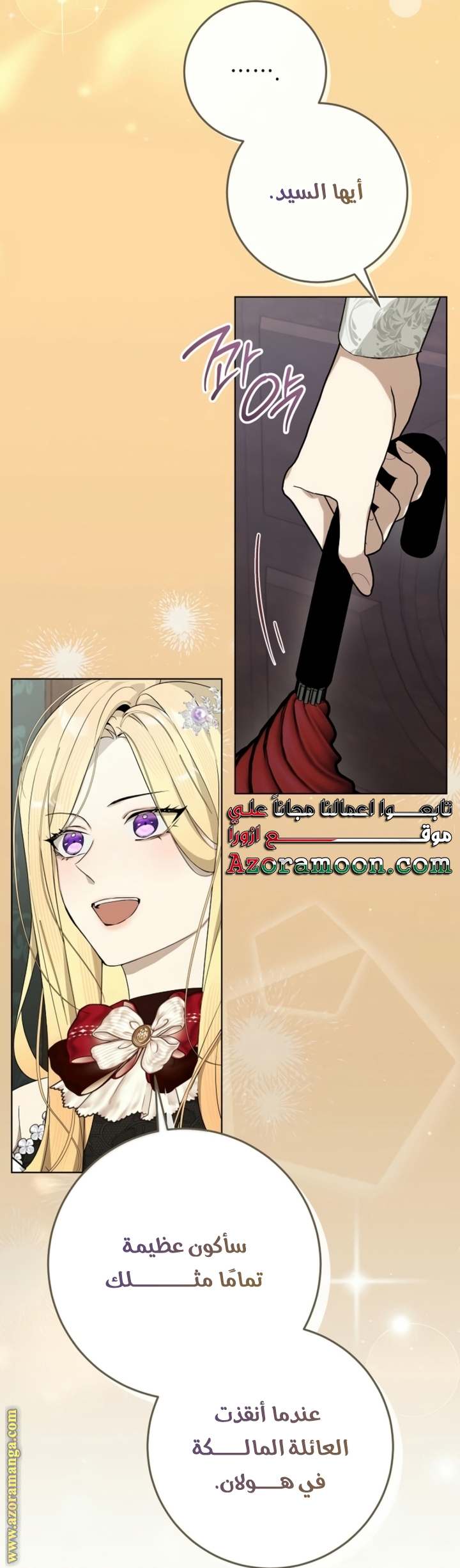 الصفحة 24