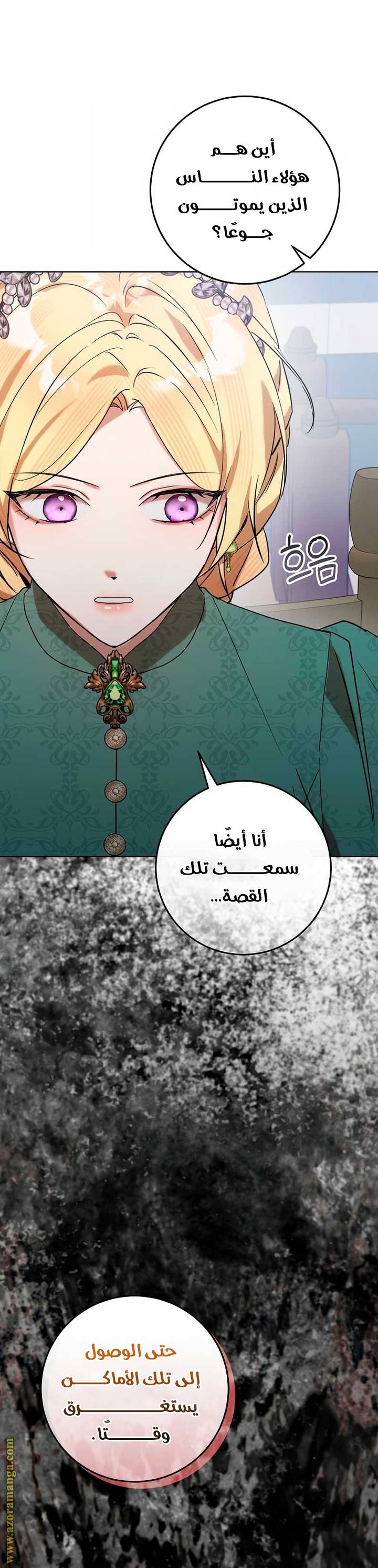 الصفحة 27
