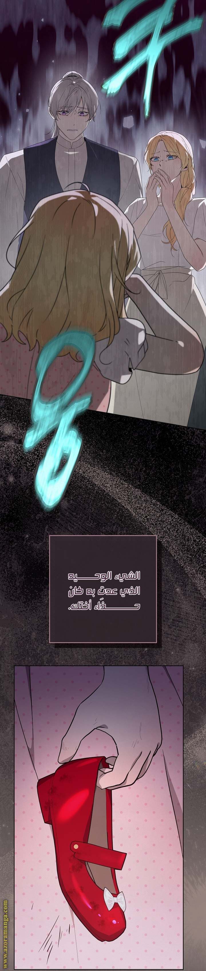 الصفحة 17