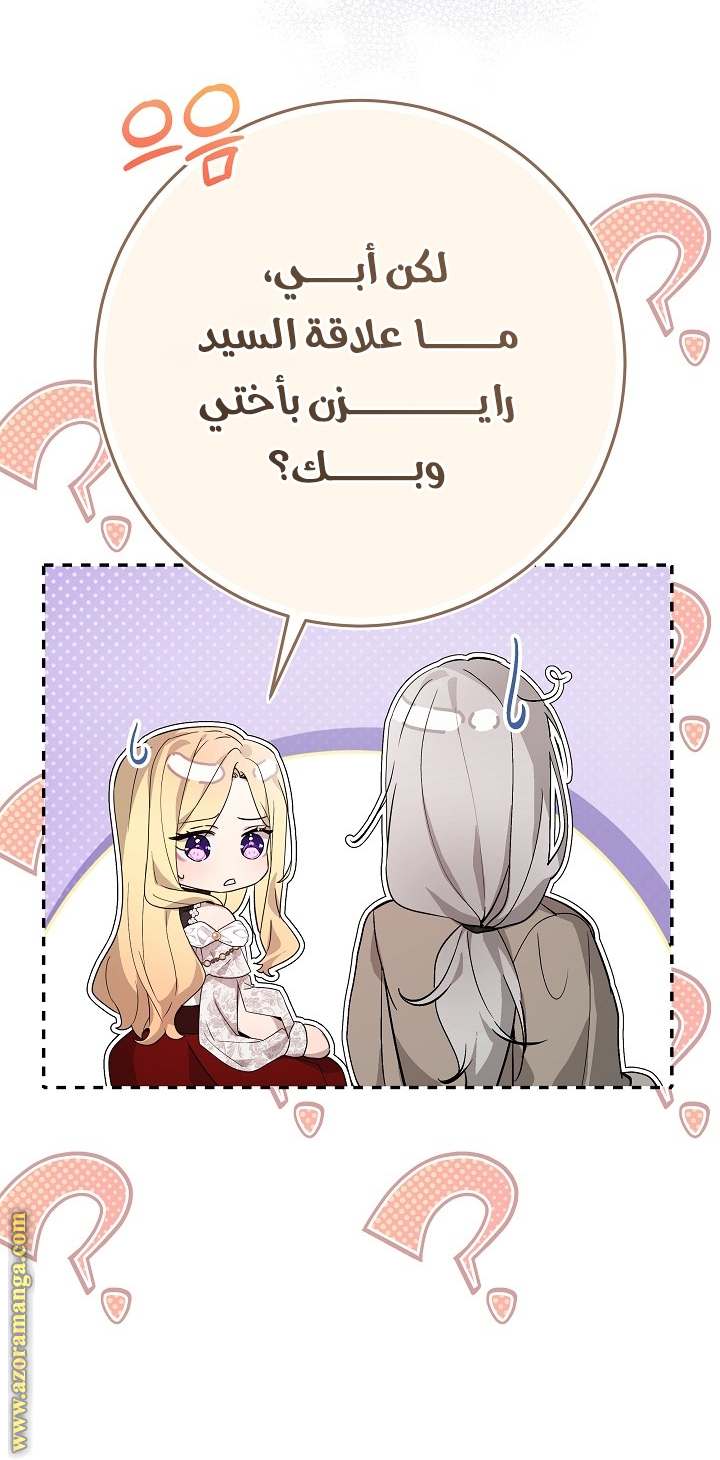 الصفحة 25