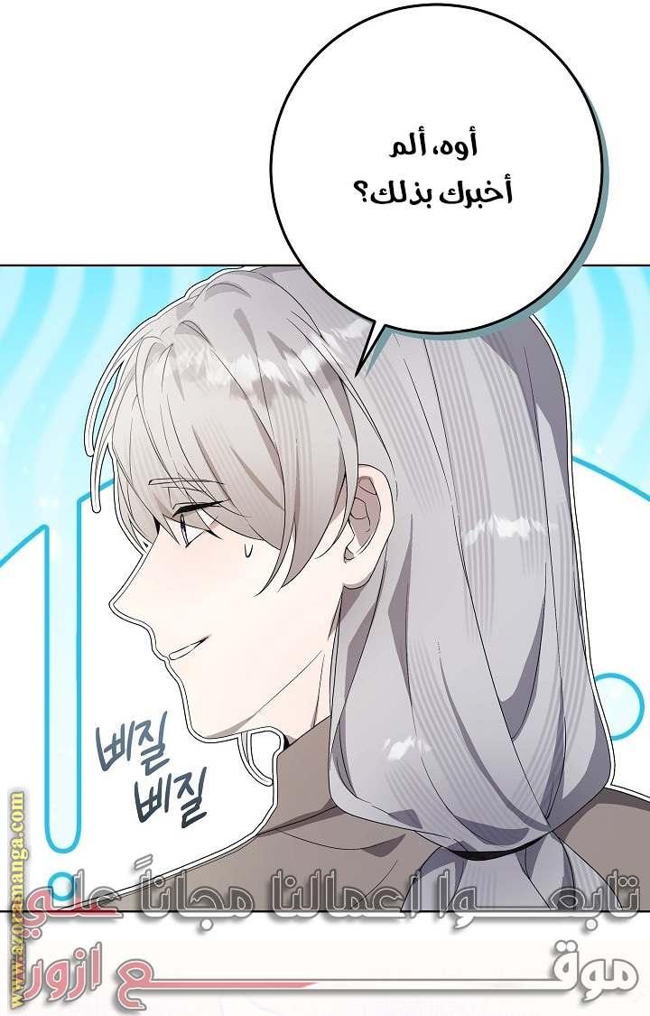 الصفحة 26