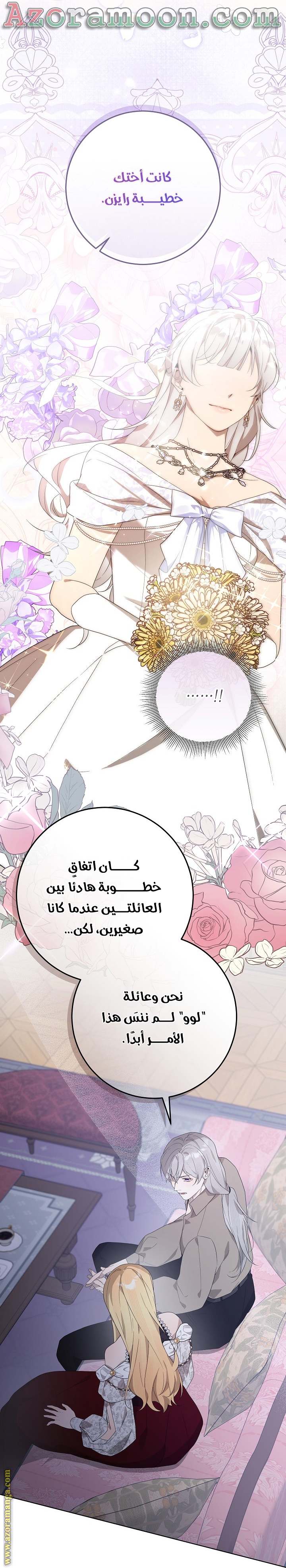 الصفحة 27
