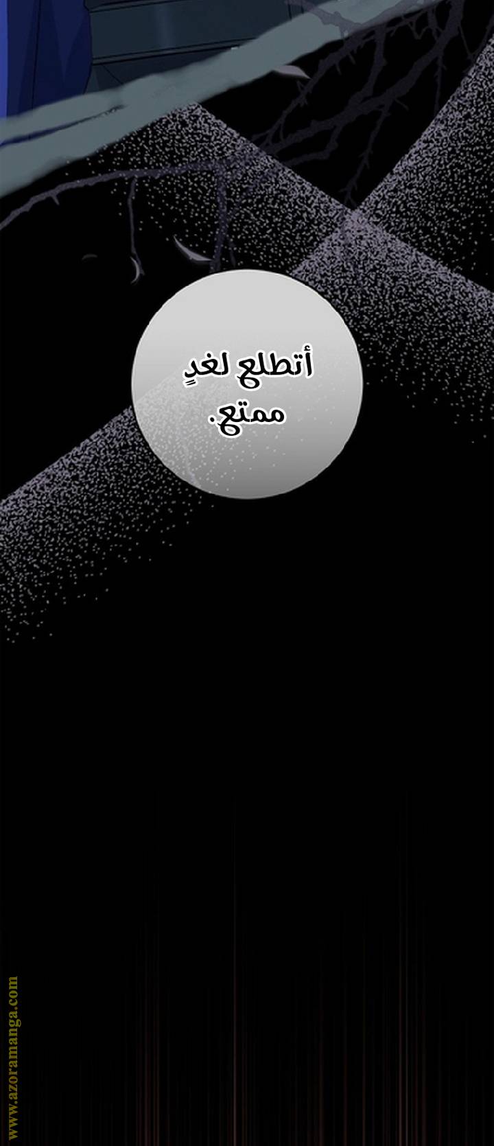 الصفحة 27