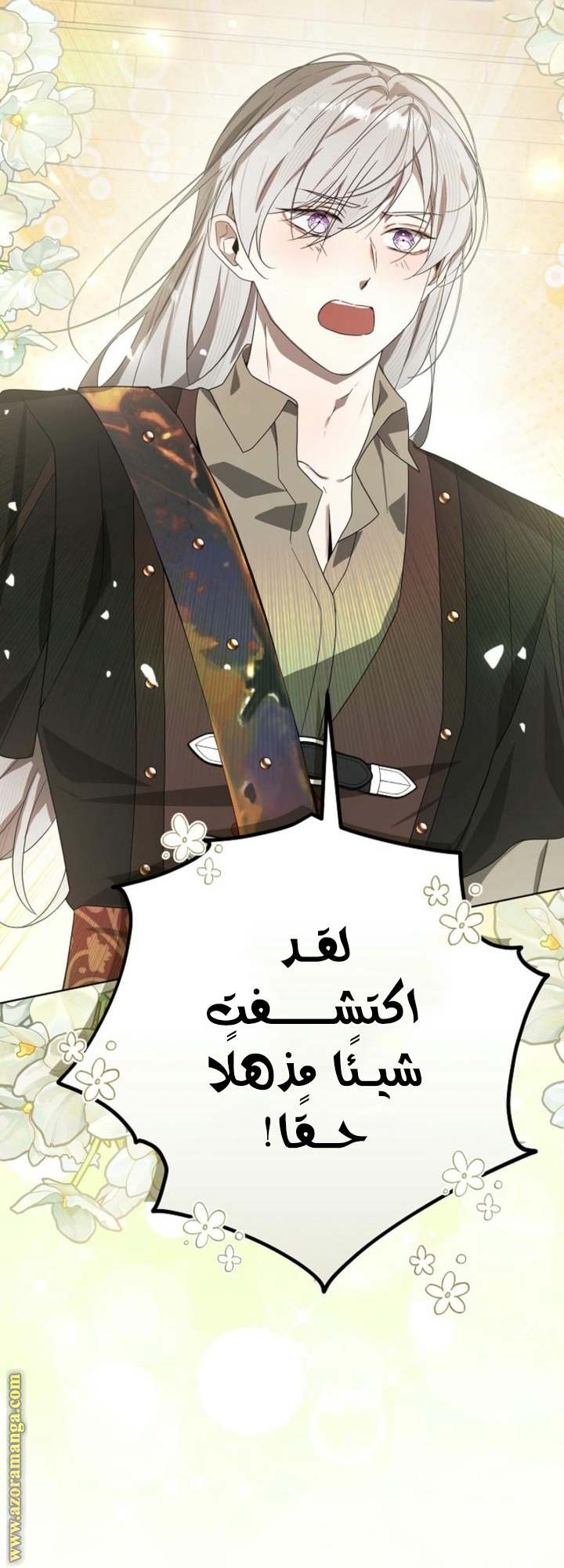 الصفحة 13