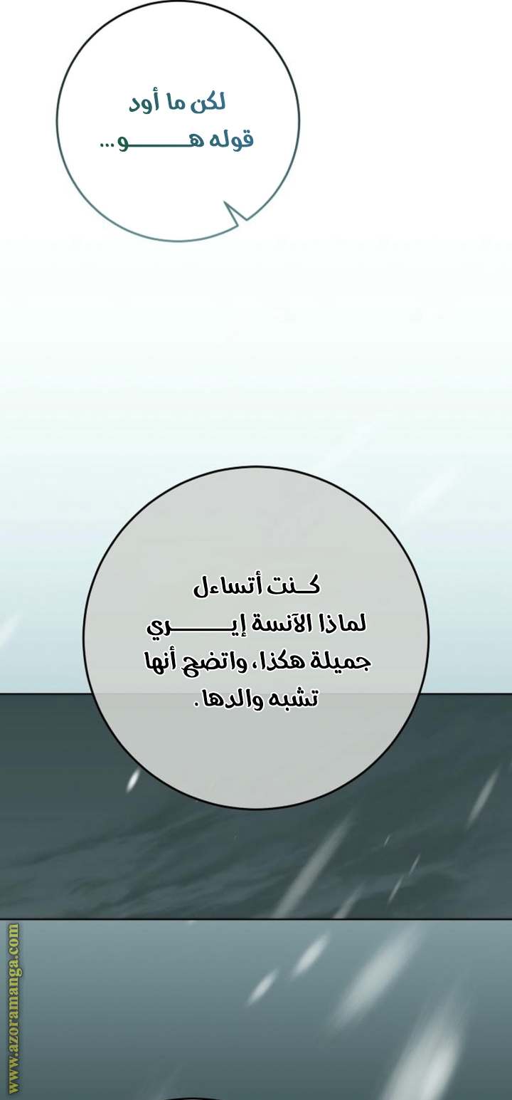 الصفحة 24