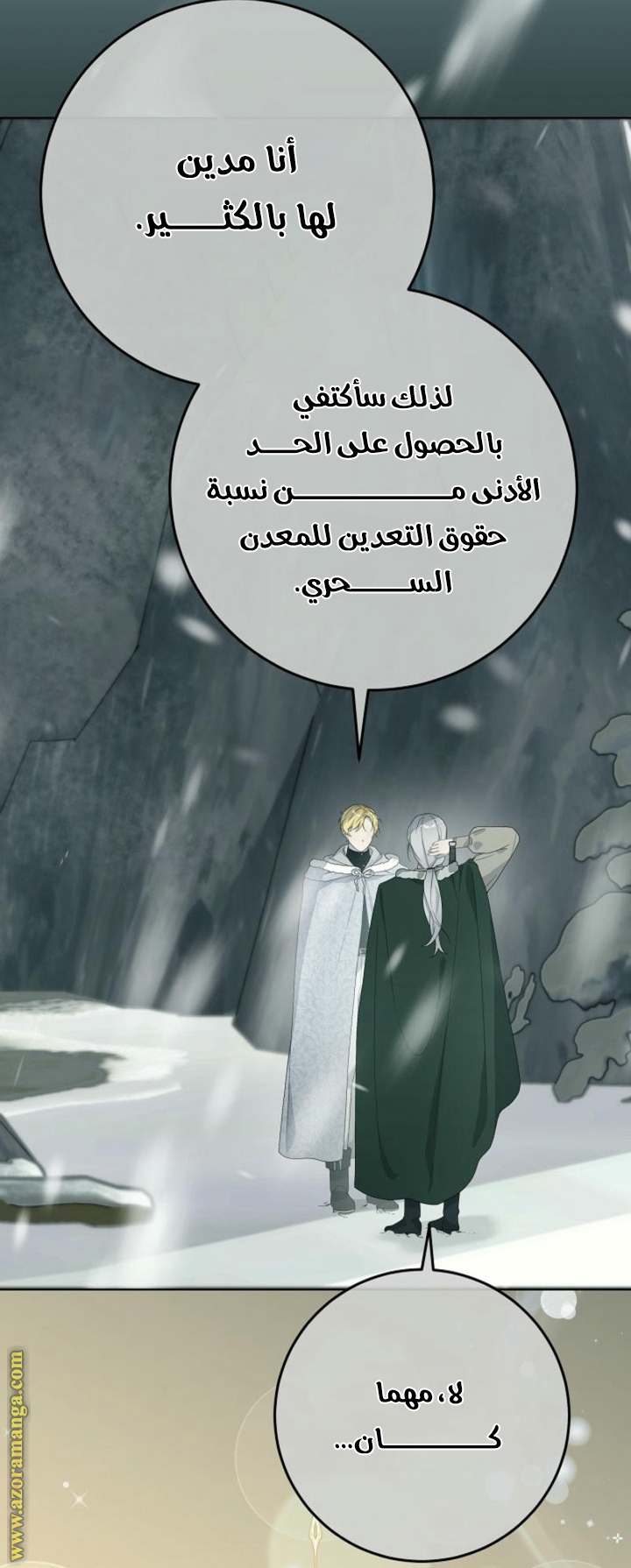 الصفحة 25
