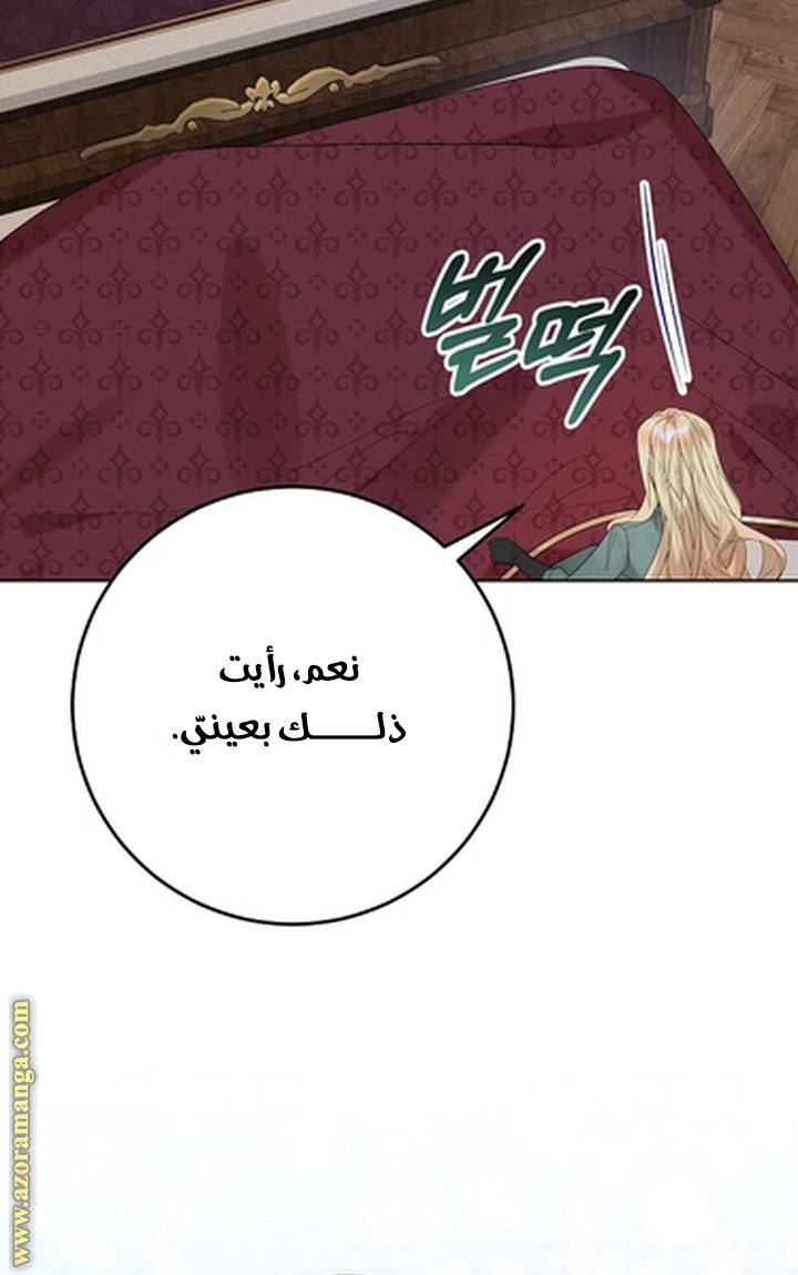 الصفحة 51