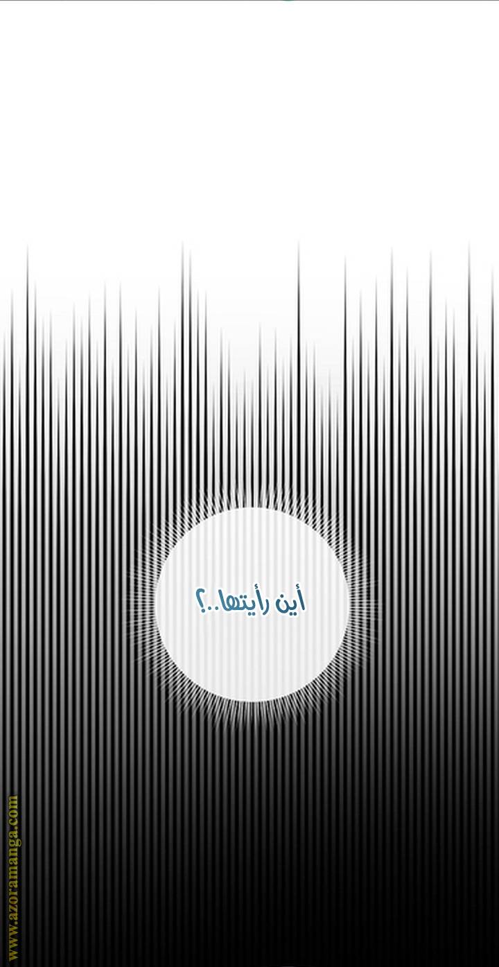 الصفحة 68