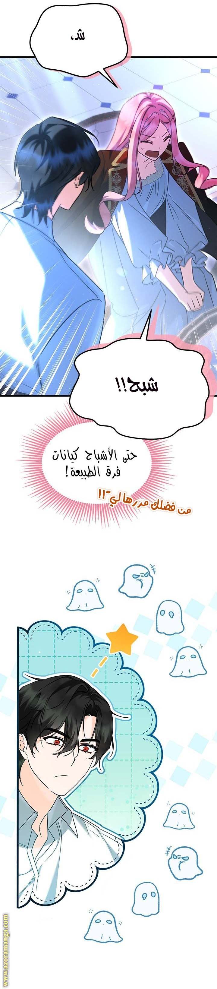 الصفحة 11