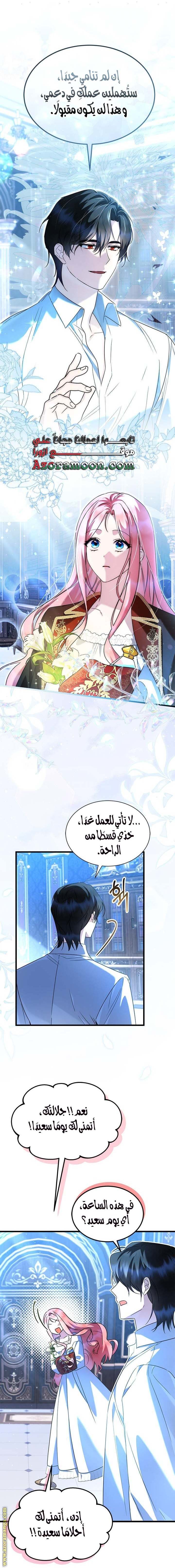 الصفحة 17