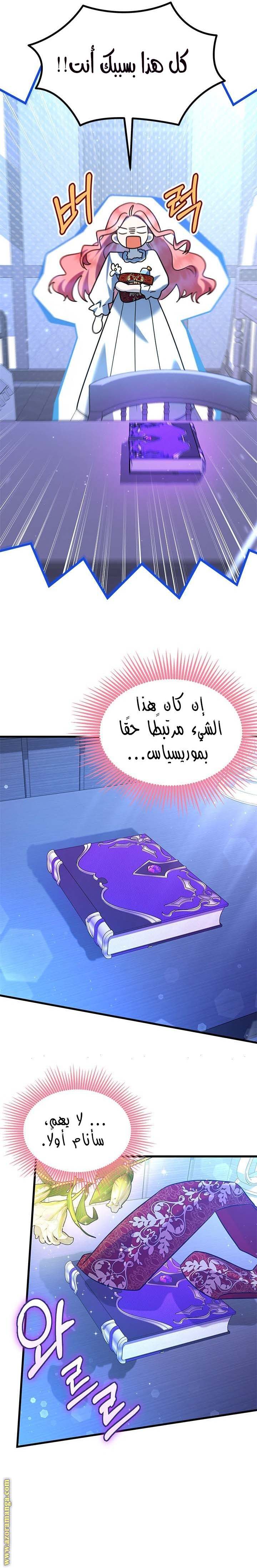 الصفحة 20